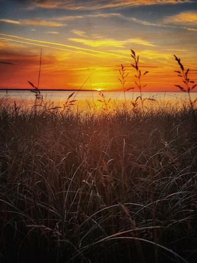 Agawa Bay