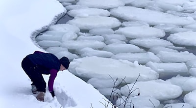 We found the shelf on the ice