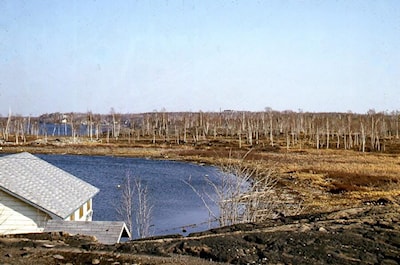 Bell Grove, c.1963-64