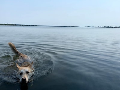 Lowkey swimming in St. Mary's River