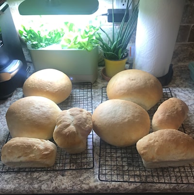 A day of bread making with the grandkids. 