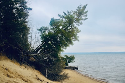 Shore erosion at Pointe des Chenes