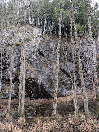 The cliff is wet today, with pond below