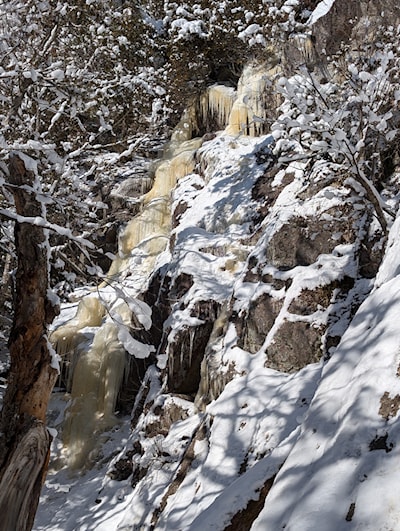 a still forming flow of ice