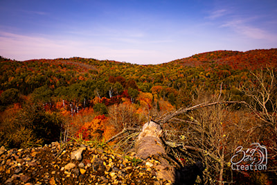 Ranger lake area 