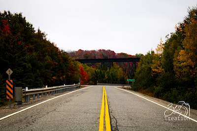 Tressle bridge over searchmont highway