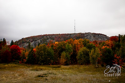 Searchmont highway