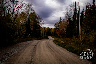 Ranger lake area 