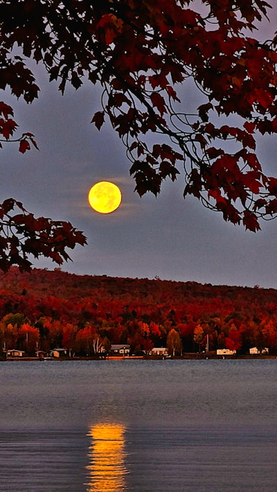 Moonset over Havilland Bay