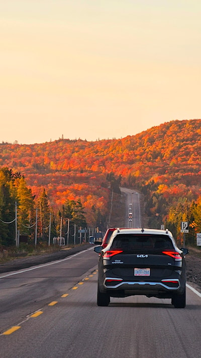 Moose flats and mile hill