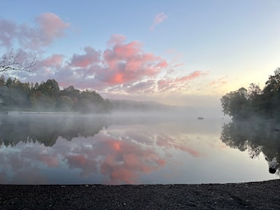 Foggy Sunrise