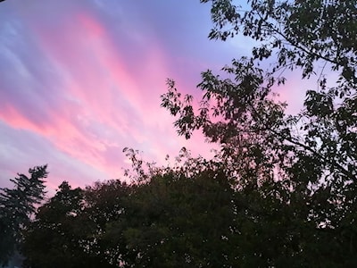 Pink Sky